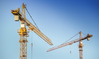 analogicus-cranes-3703469